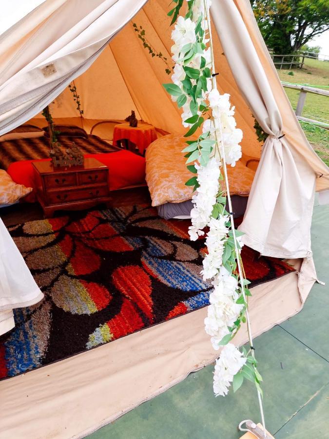 Walnut Tree Glamping Hotel Sturry Екстериор снимка
